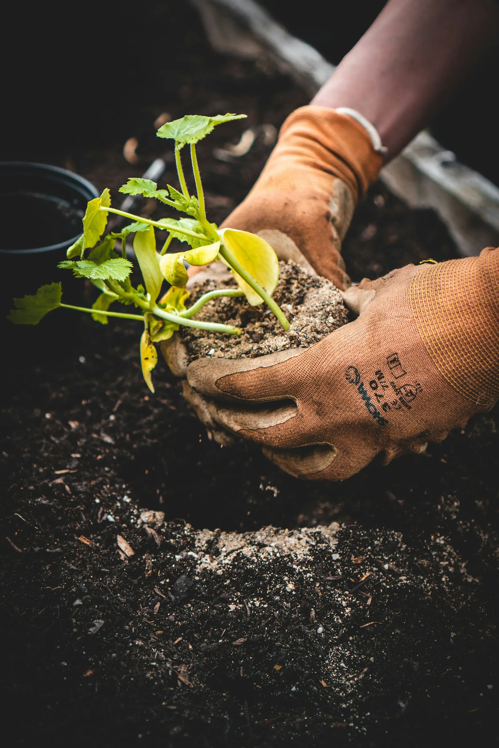 gardening gloves for outdoor garden work