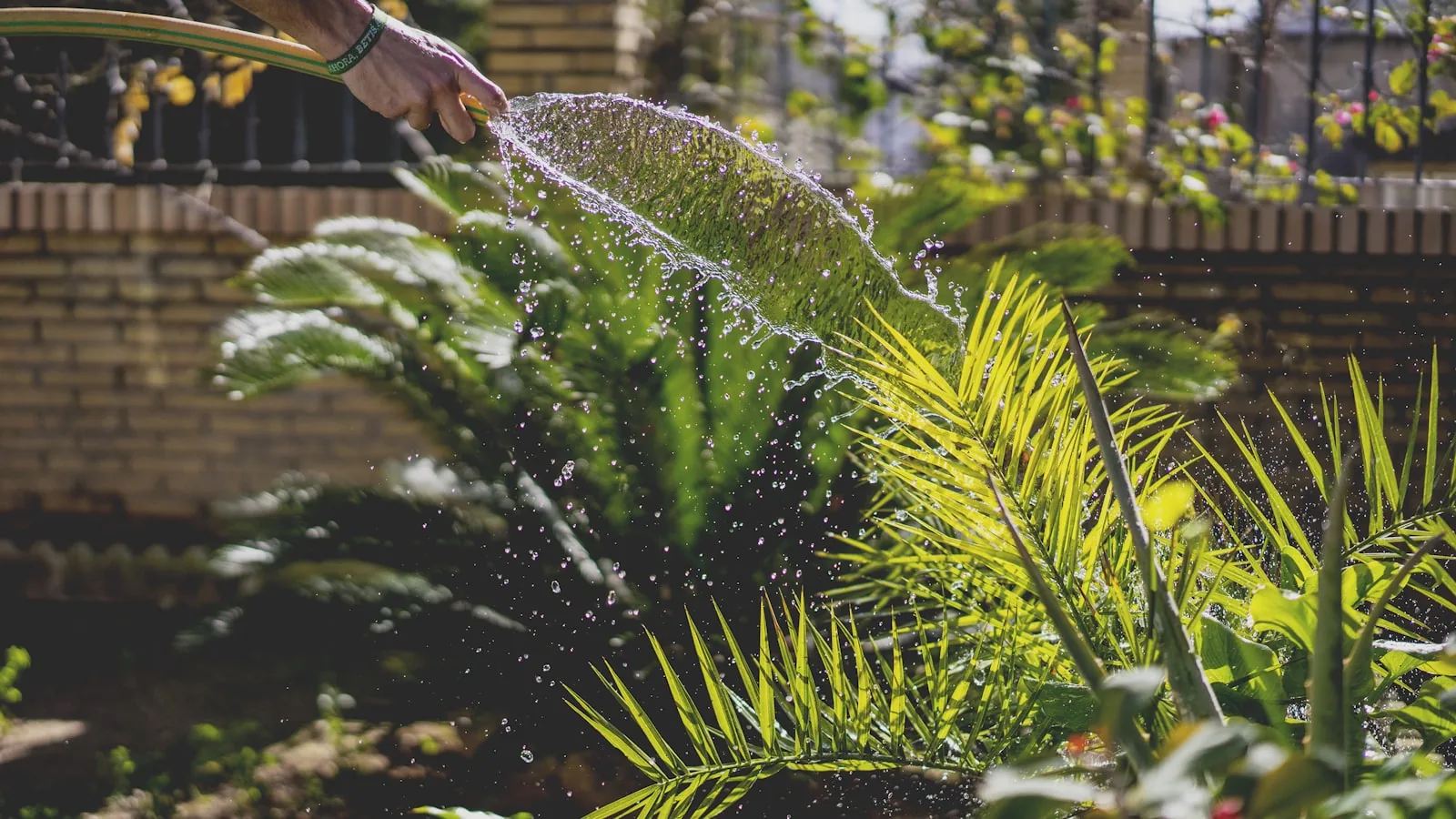garden hose for outdoor watering and irrigation