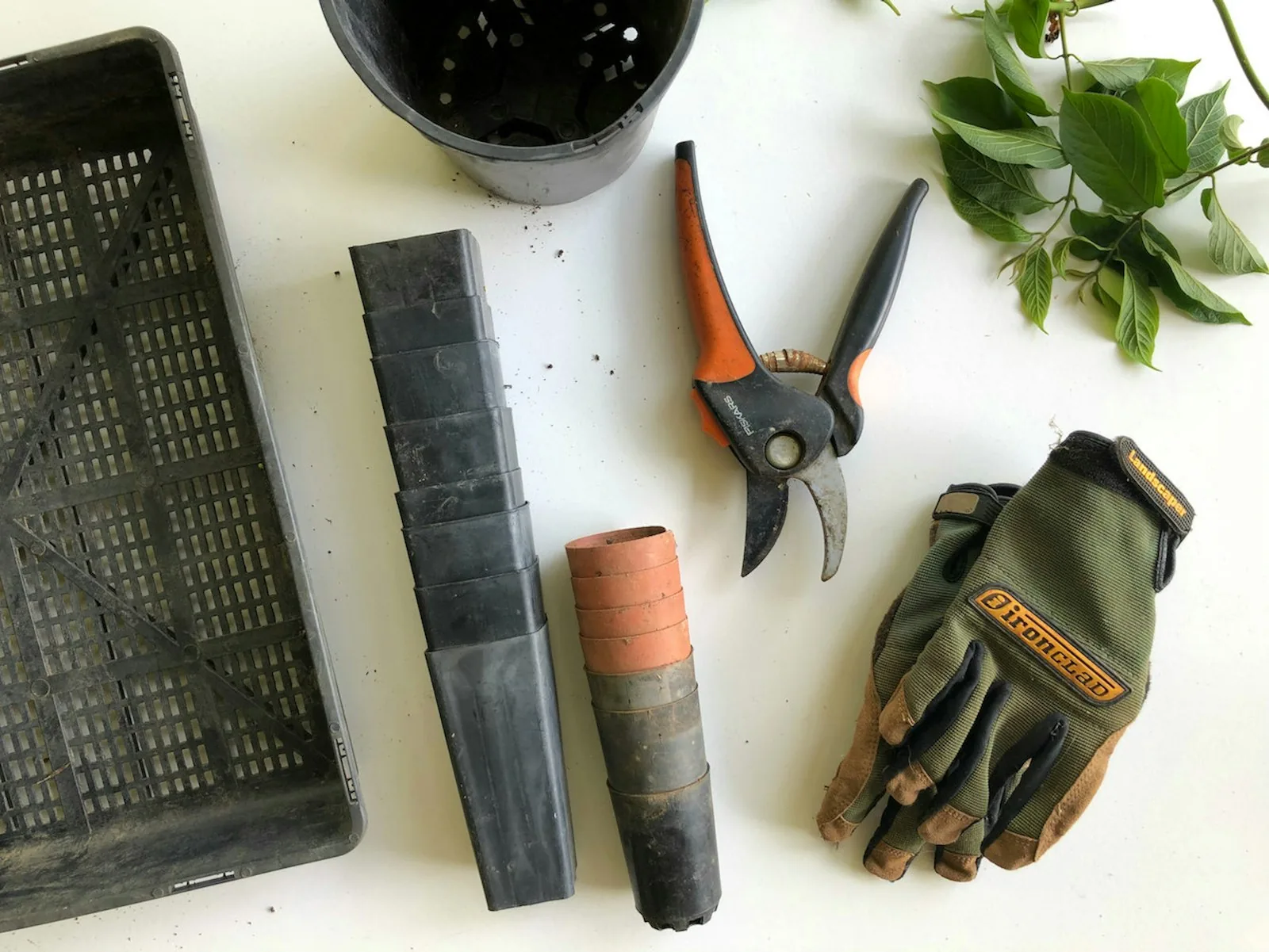 pruning shears and garden loppers for trimming