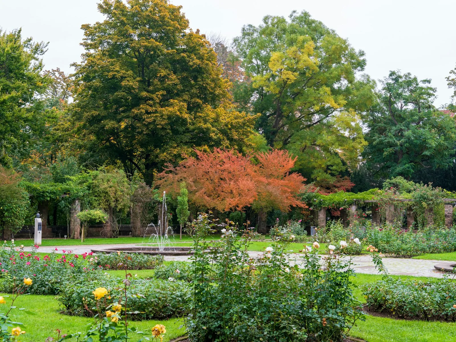 Autumn trees and rose garden with fountain