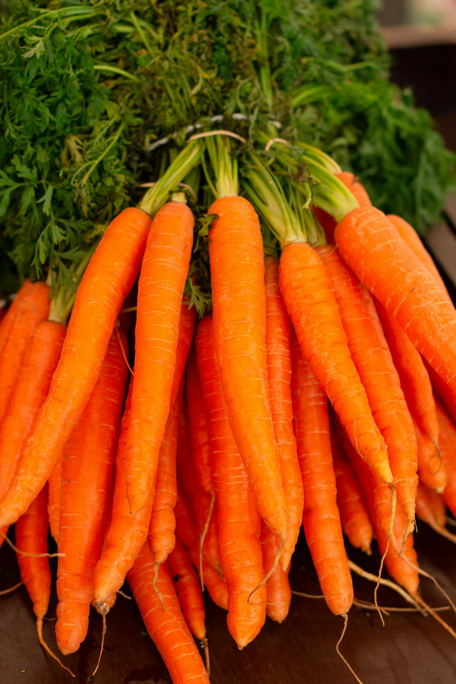 Orange carrots in white ceramic bowl