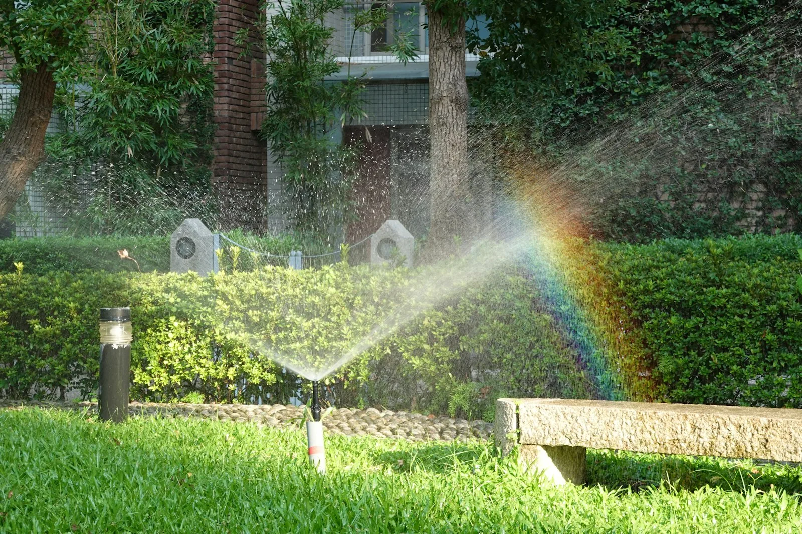rainbow forms in sprinkler water on green lawn