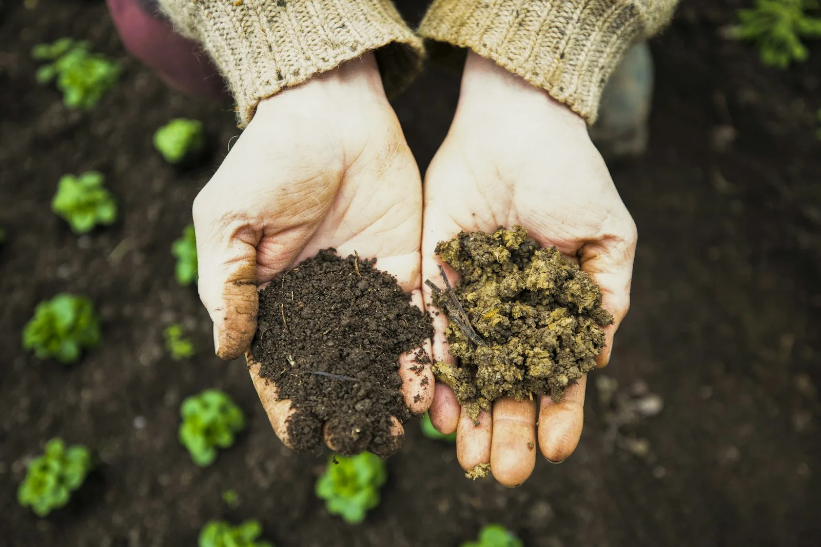 garden soil and dirt for planting