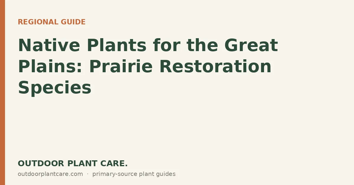 Native Great Plains prairie with bluestem grasses, coneflowers, and wild bergamot under a wide sky