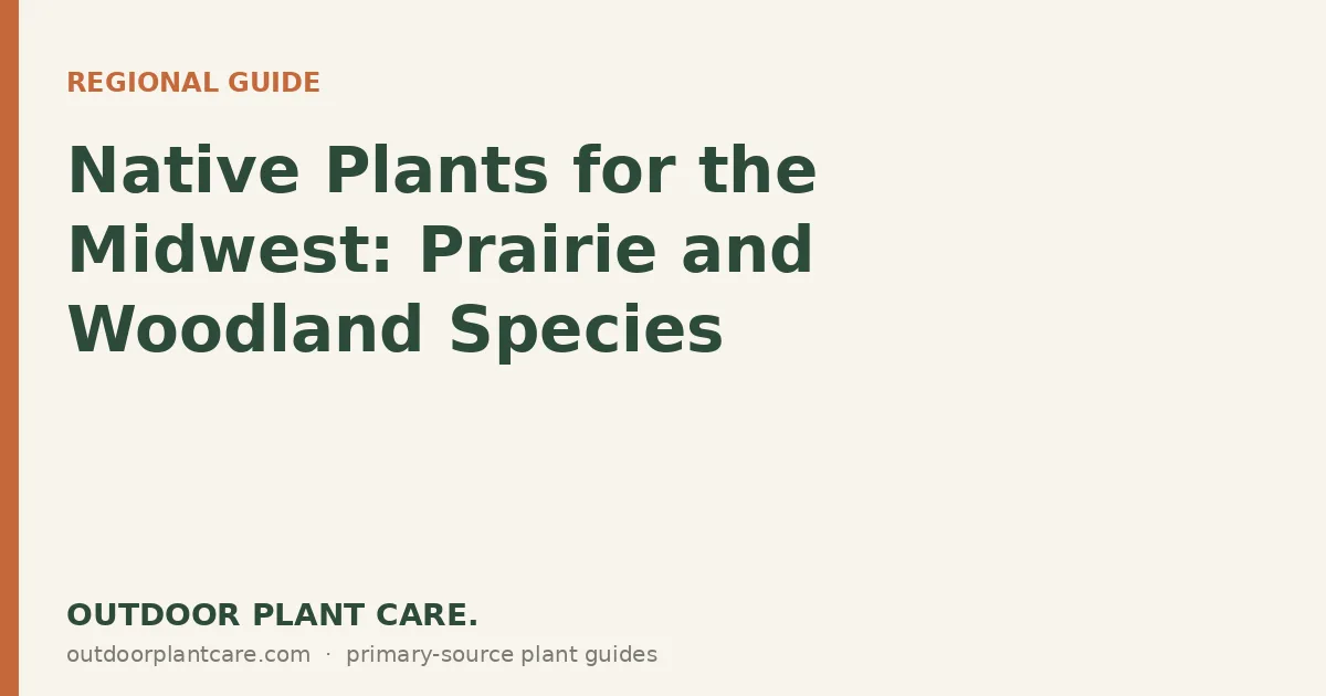 Tallgrass prairie garden with native coneflowers, prairie dropseed, and big bluestem grass in late summer