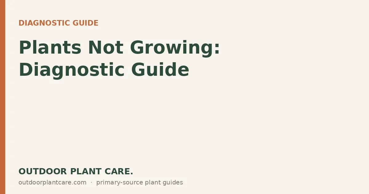 Root-bound plant removed from pot showing dense circling roots preventing normal growth