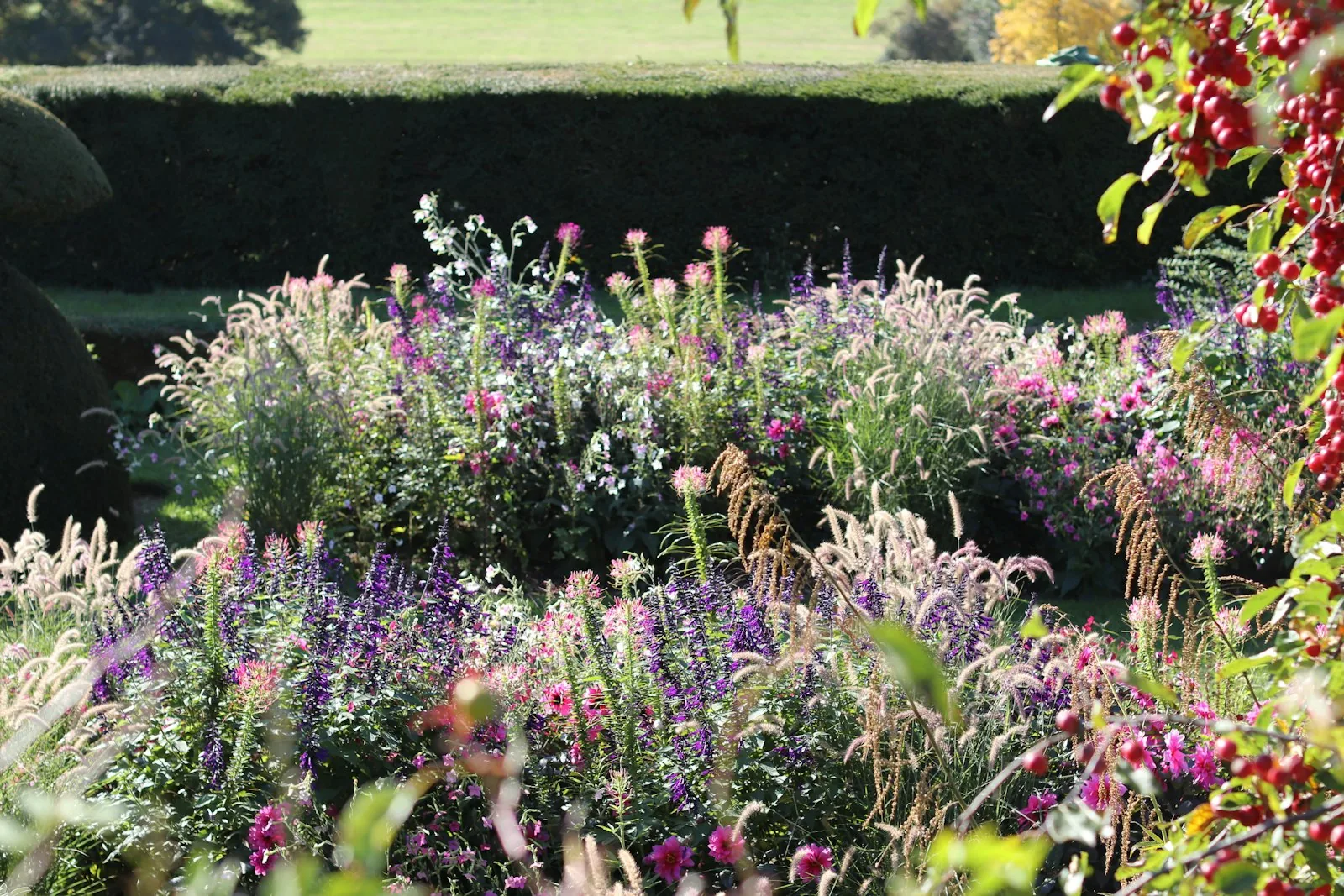 A vibrant garden filled with colorful flowers and grasses