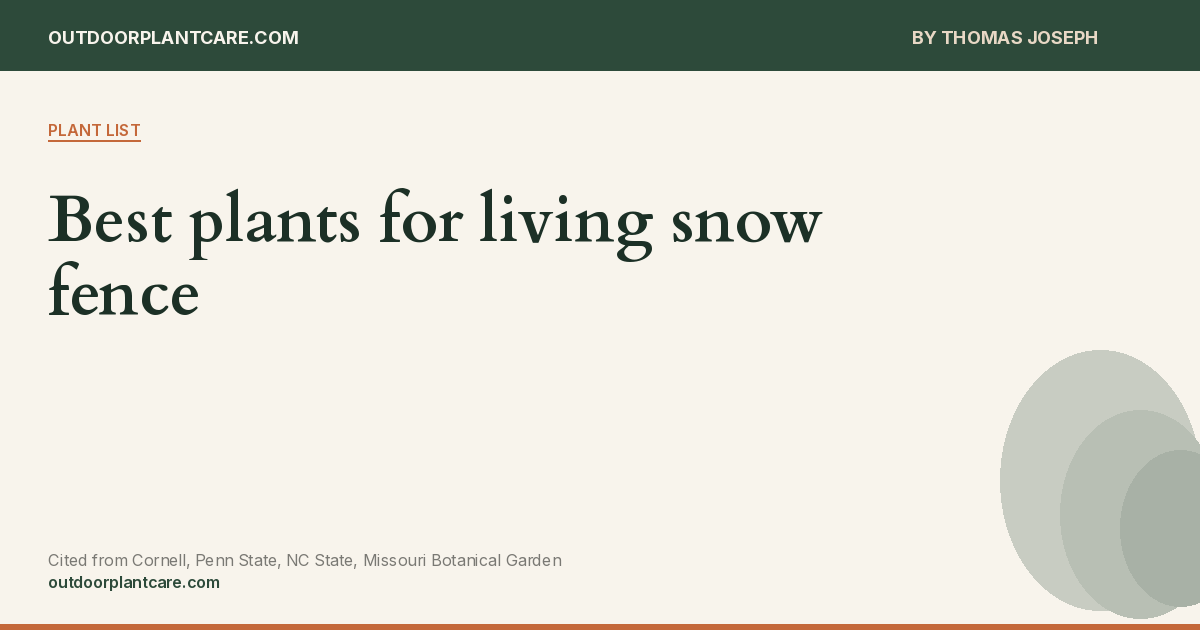 Best plants for living snow fence | Outdoor Plant Care